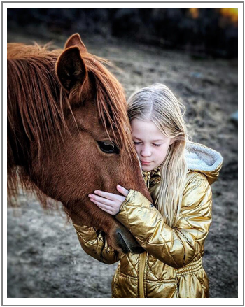 horse photo
